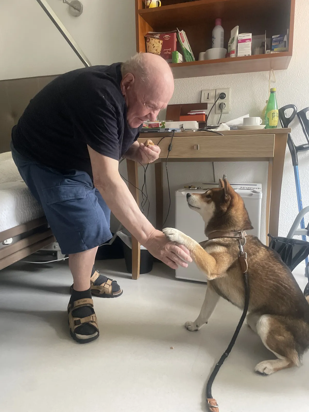 La visite de Tango 