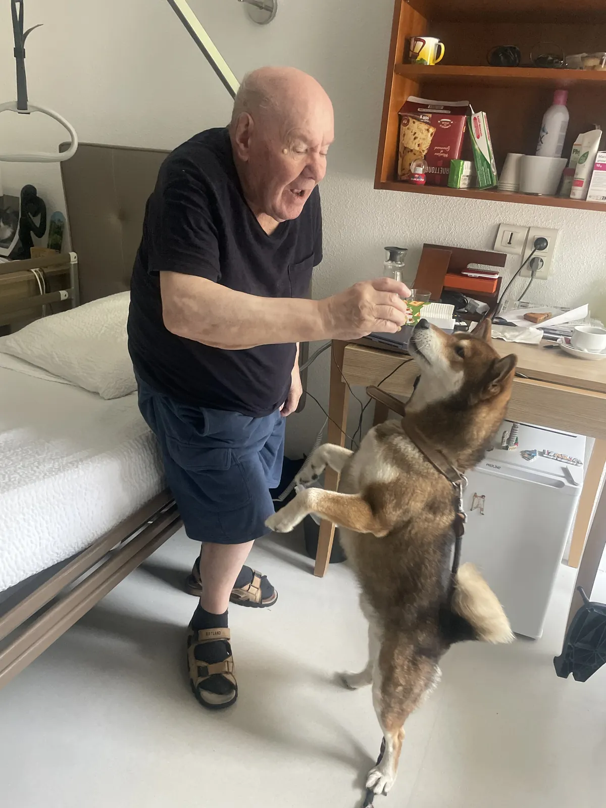 La visite de Tango 