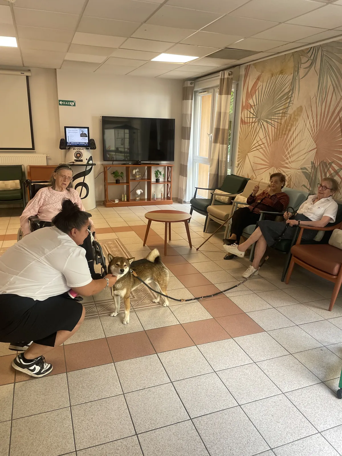 La visite de Tango 