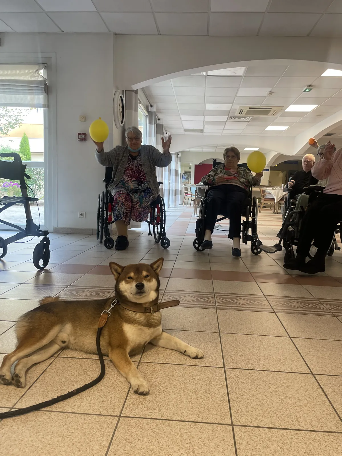 La visite de Tango 