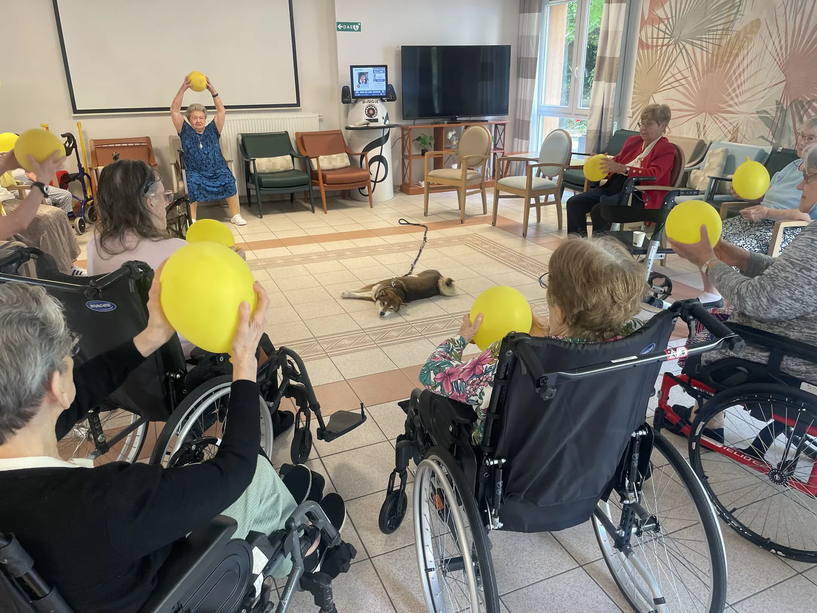 La visite de Tango 