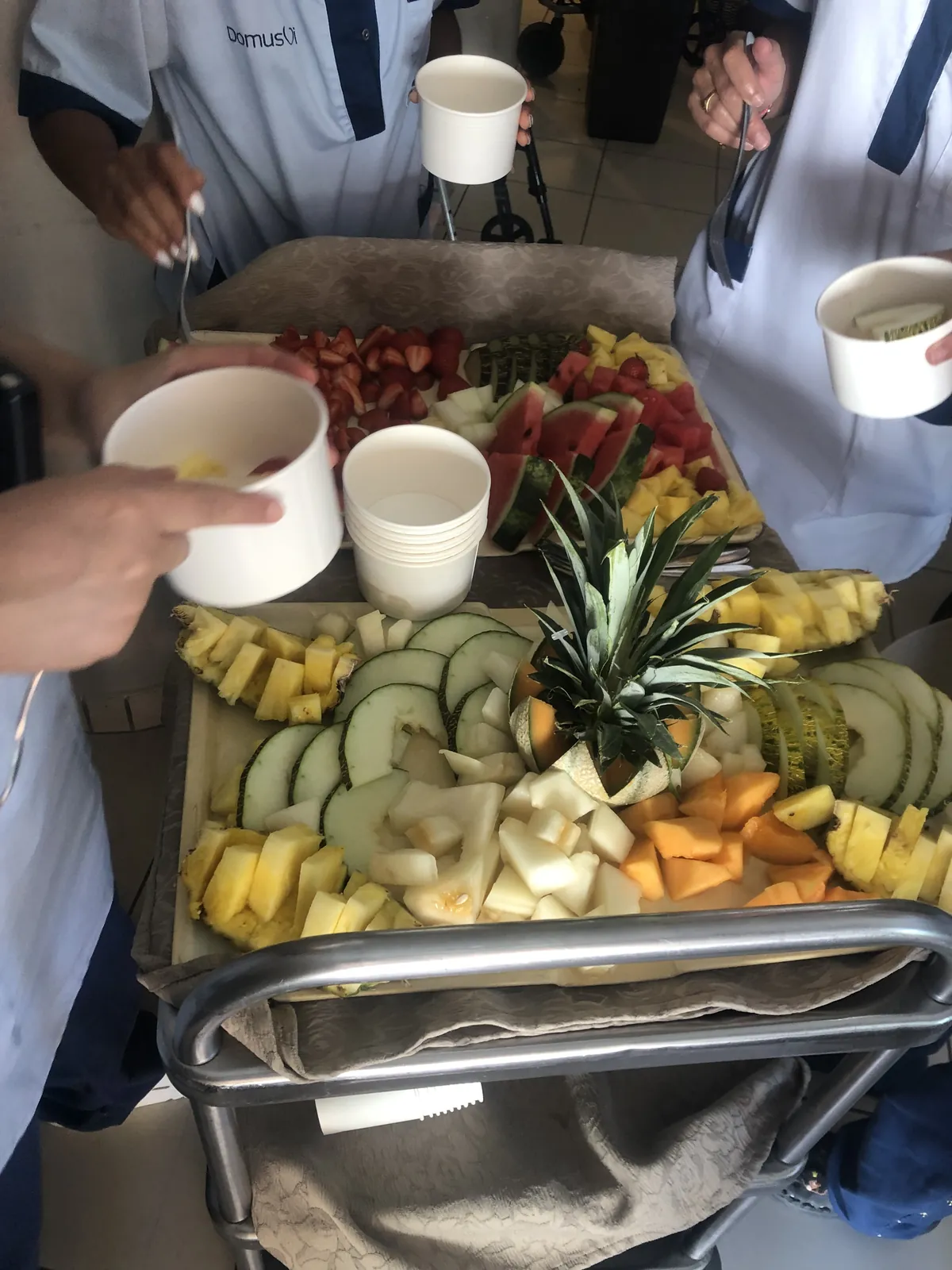 dégustation de fruit