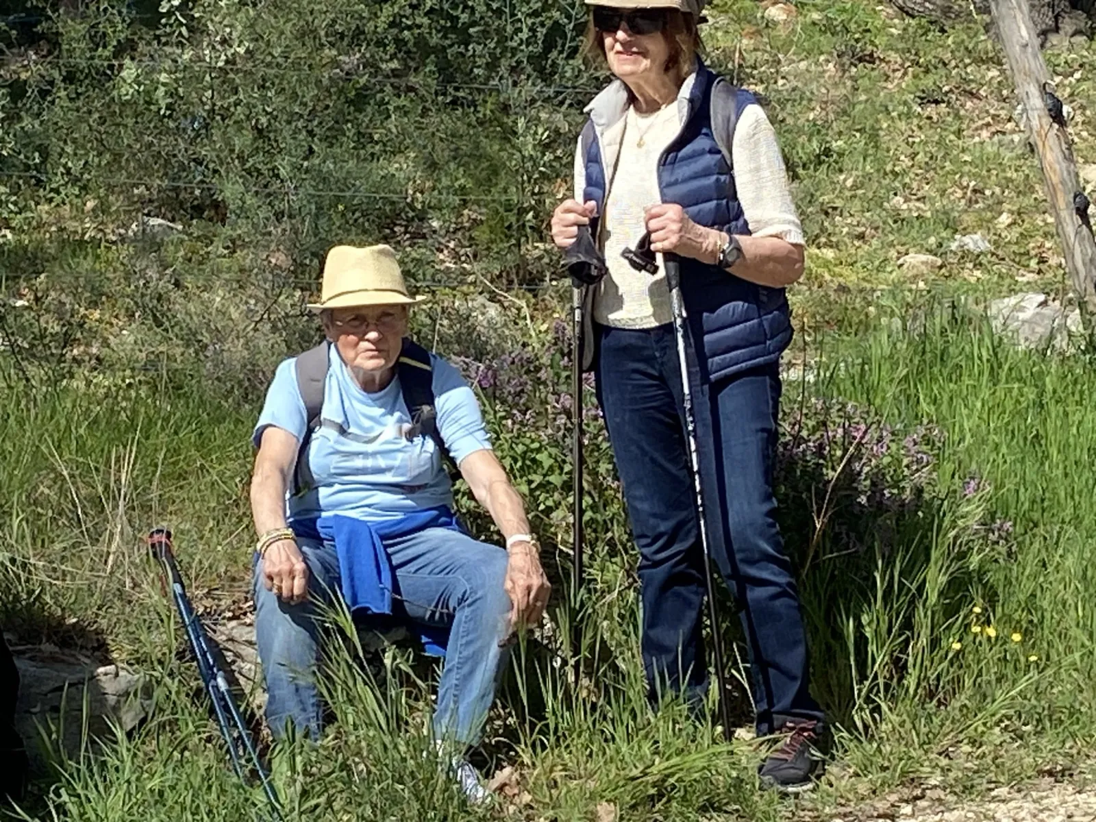 La Chasse à l'asperge sauvage