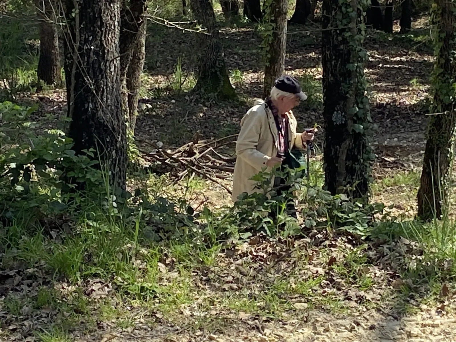 La Chasse à l'asperge sauvage