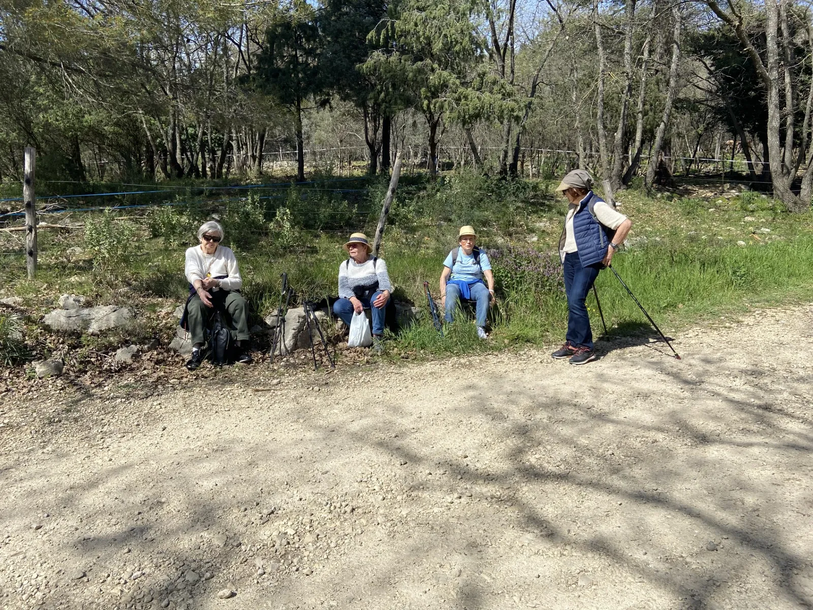 La Chasse à l'asperge sauvage