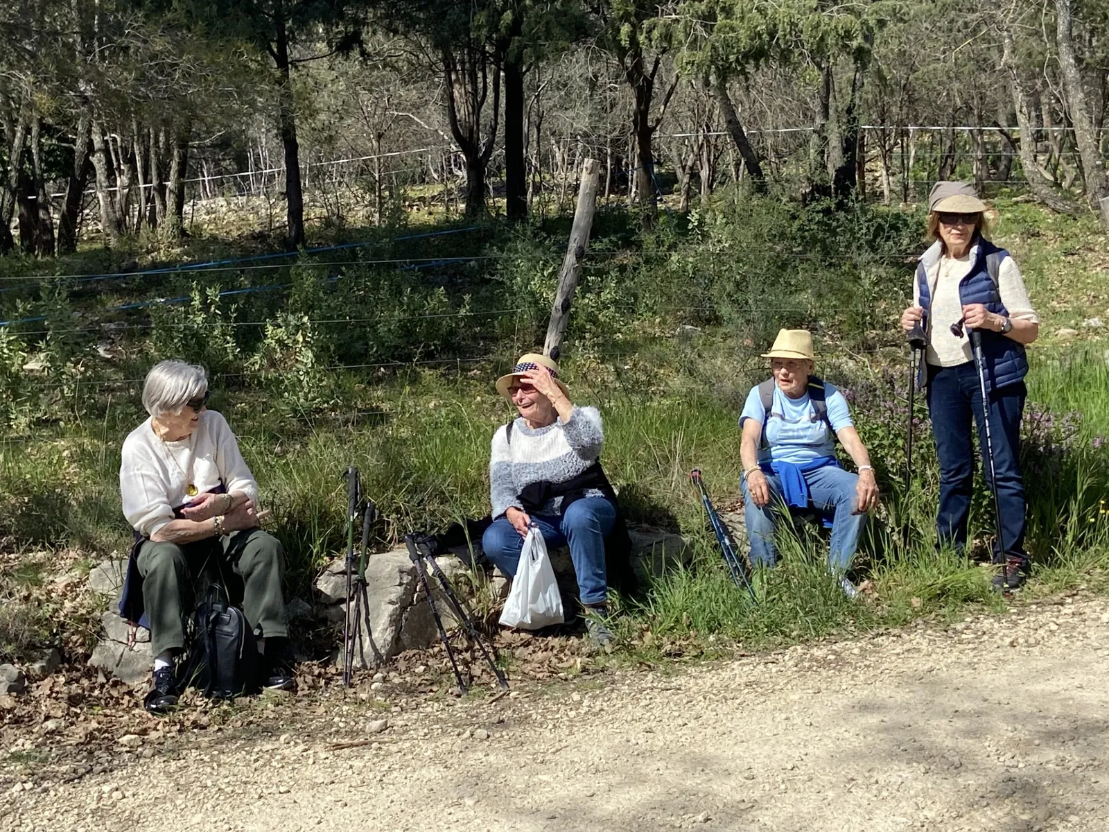 La Chasse à l'asperge sauvage