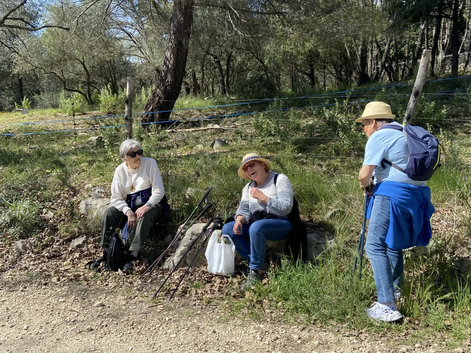 La Chasse à l'asperge sauvage