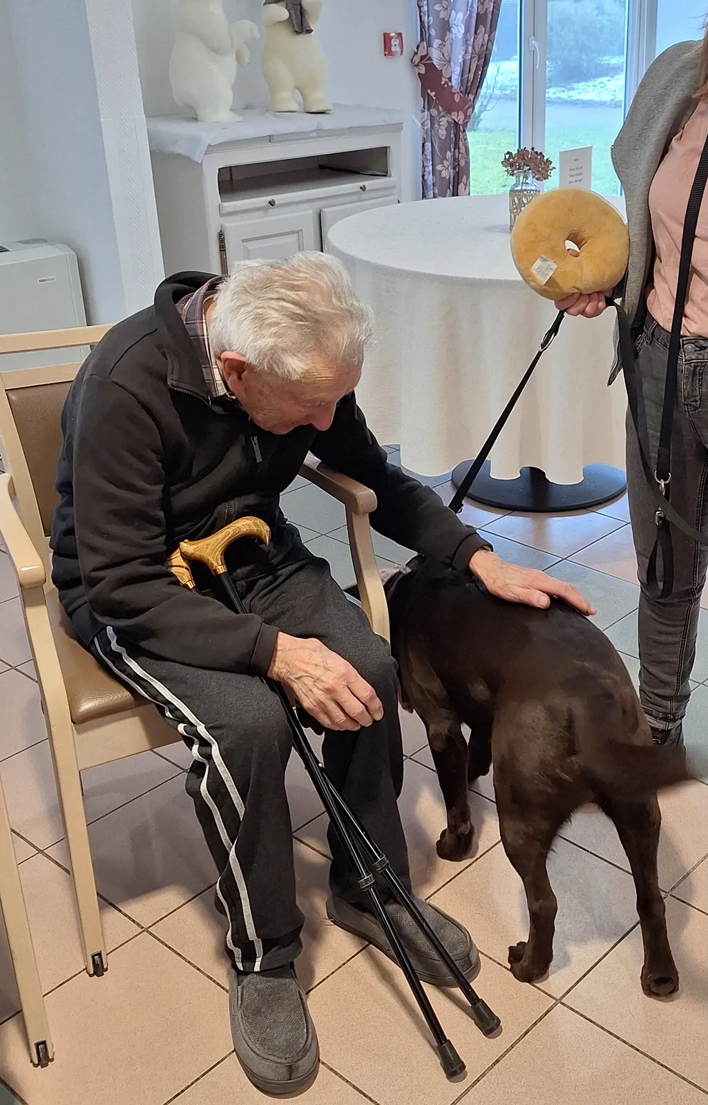 Nos amis les animaux ! 