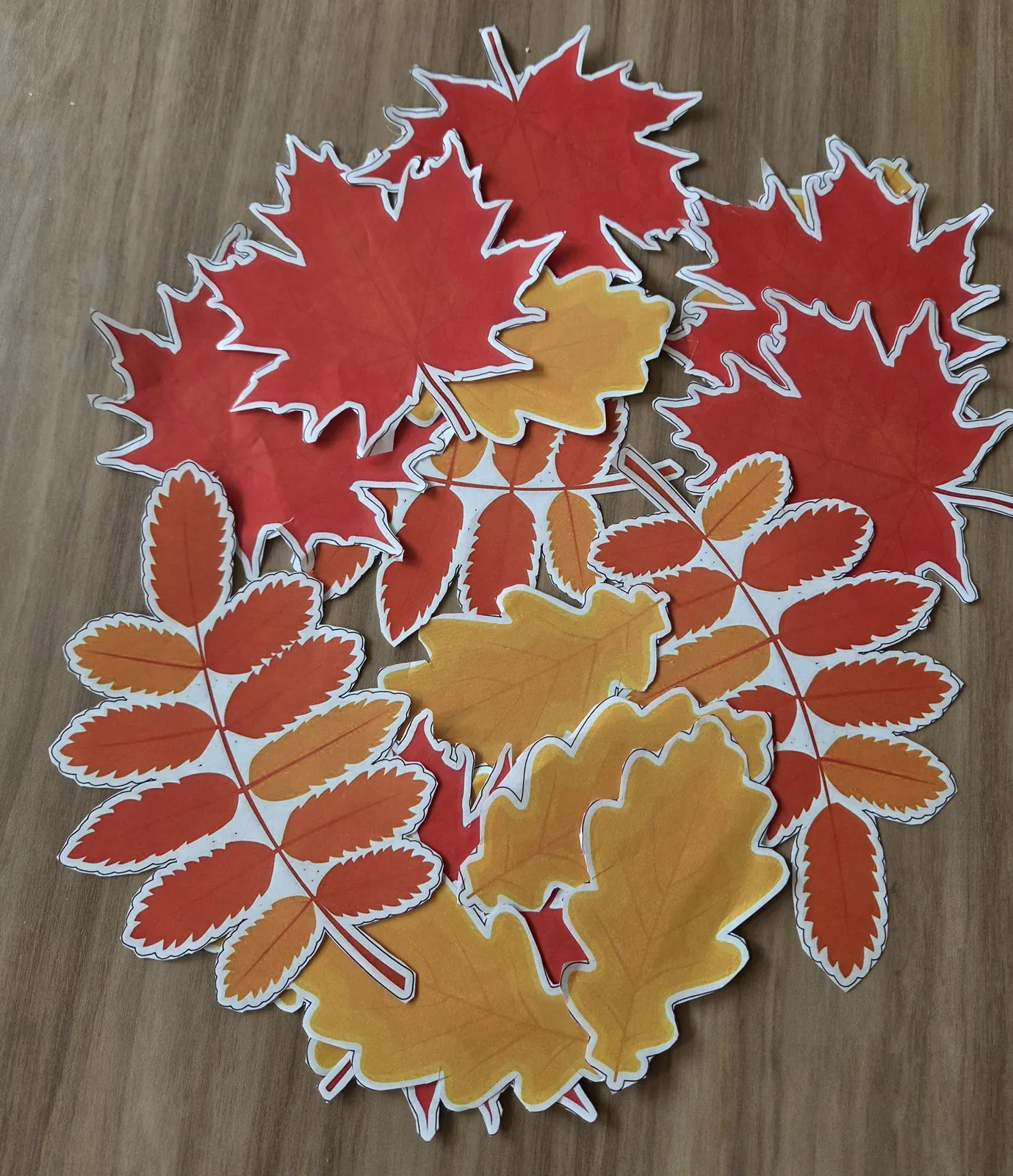 Couleurs d’automne à la résidence