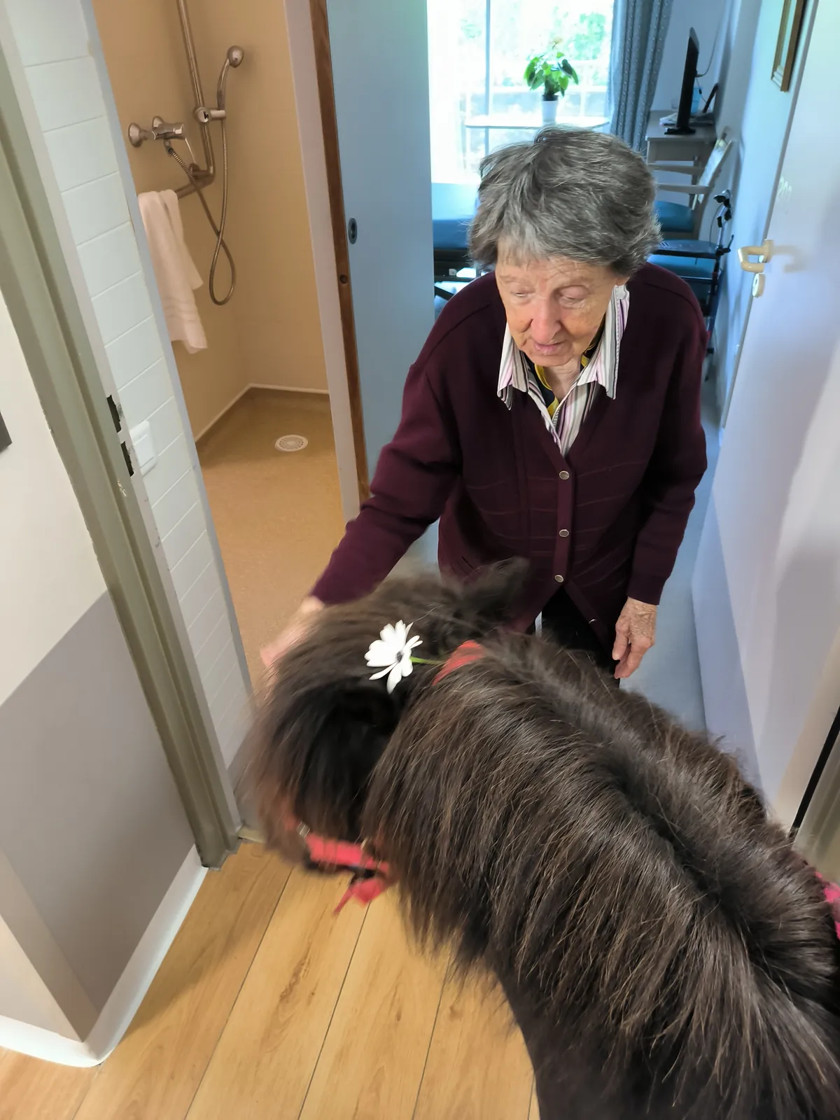 Une parenthèse de douceur : médiation animale sur la terrasse et dans les chambres