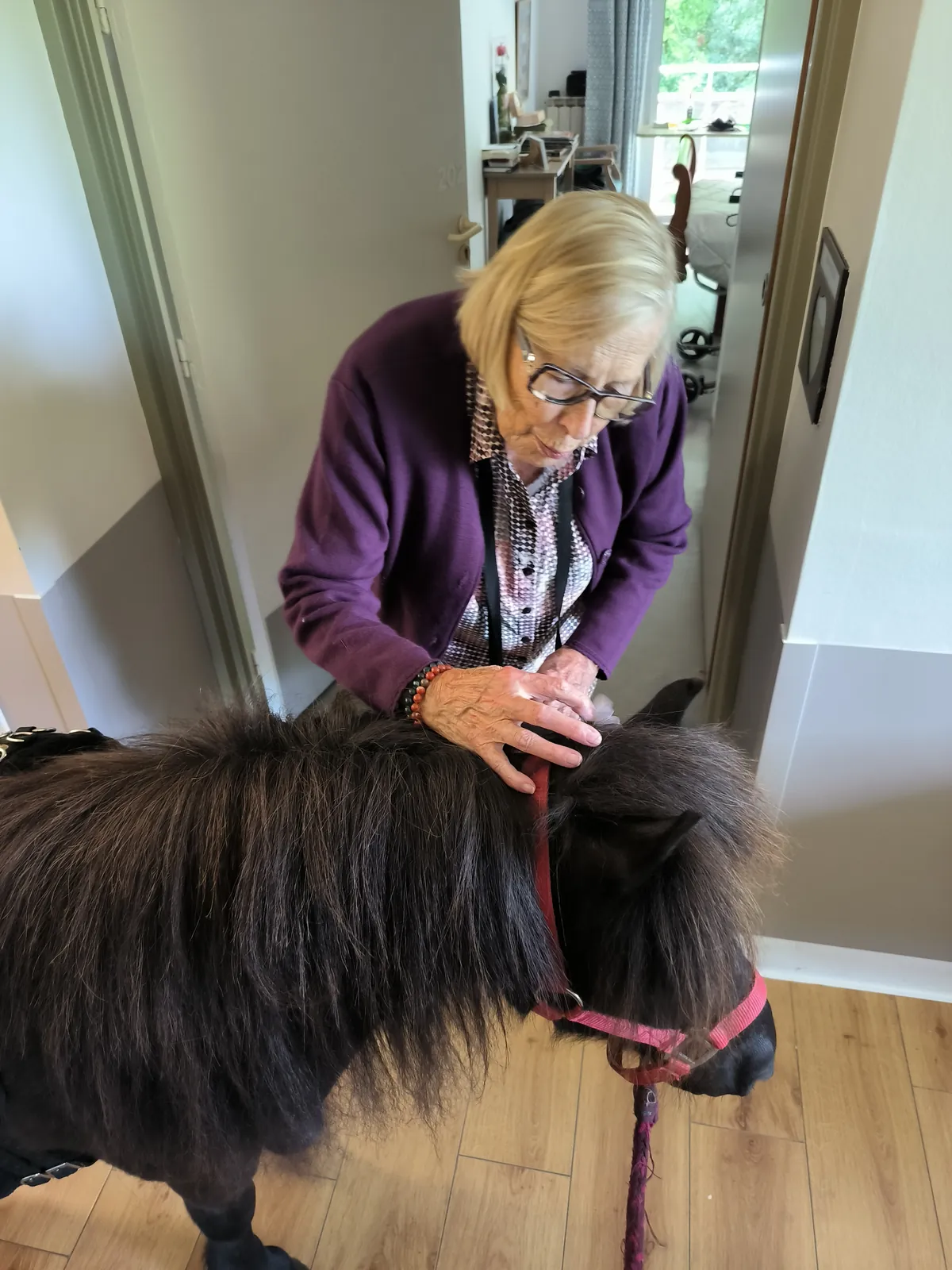 Une parenthèse de douceur : médiation animale sur la terrasse et dans les chambres