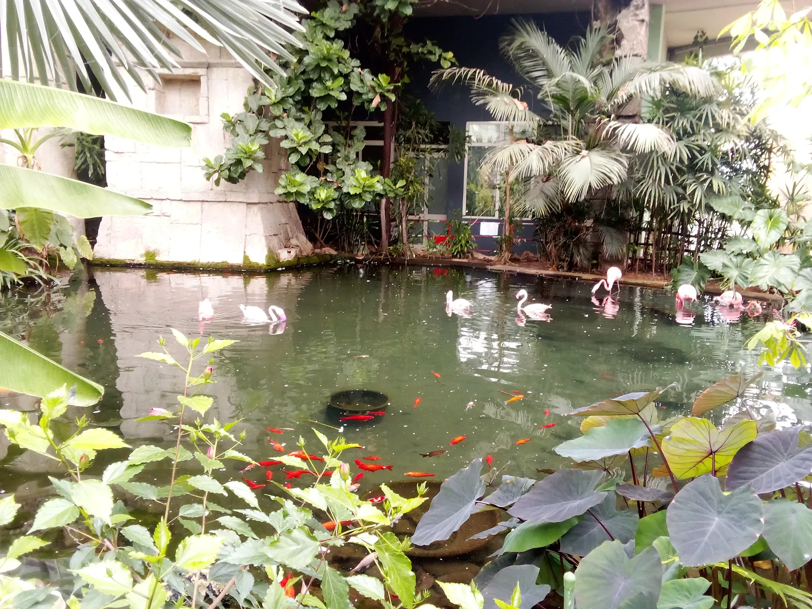 Parc Phoenix 