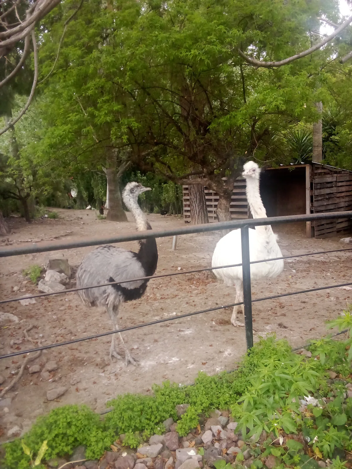 Parc Phoenix 