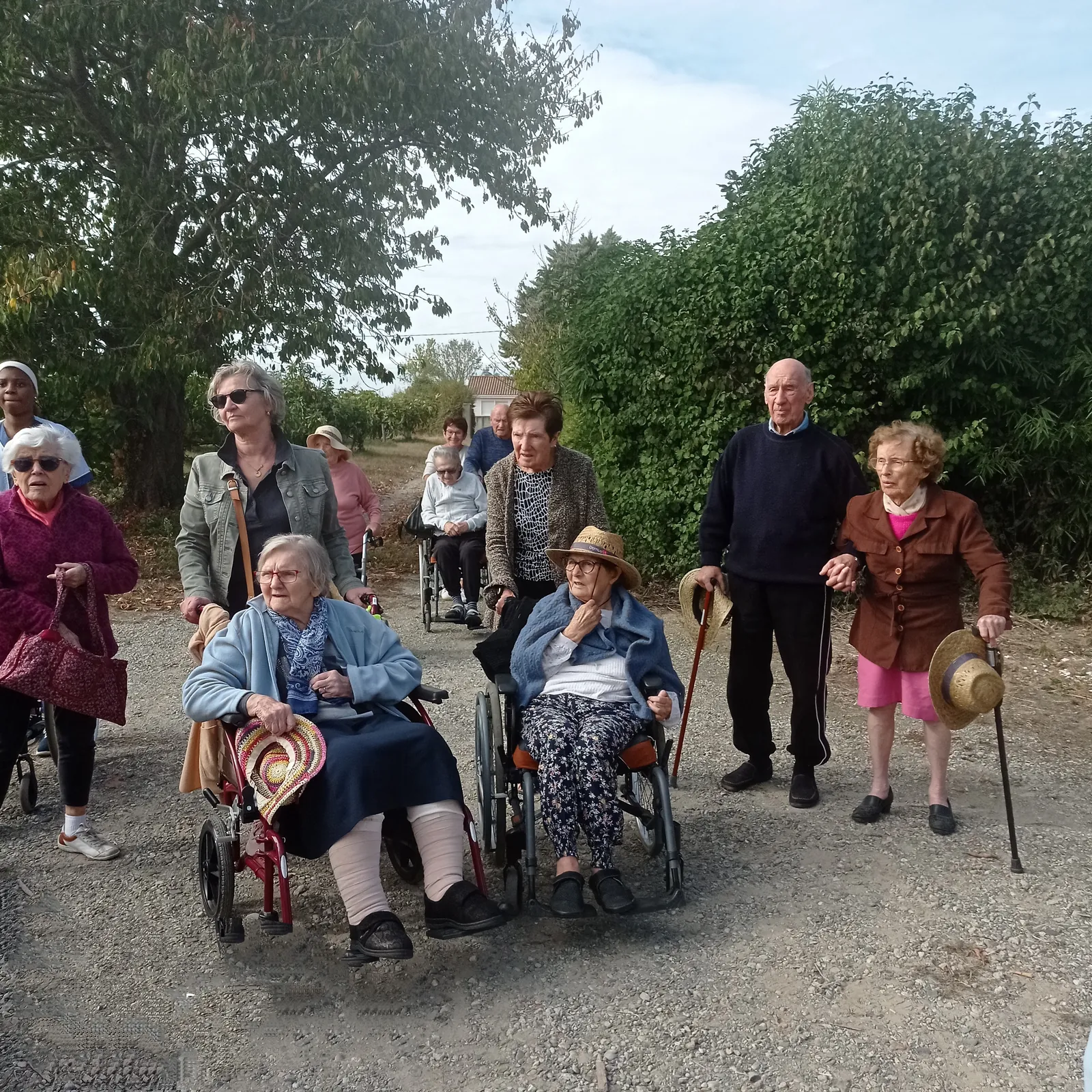 Sortie au verger 