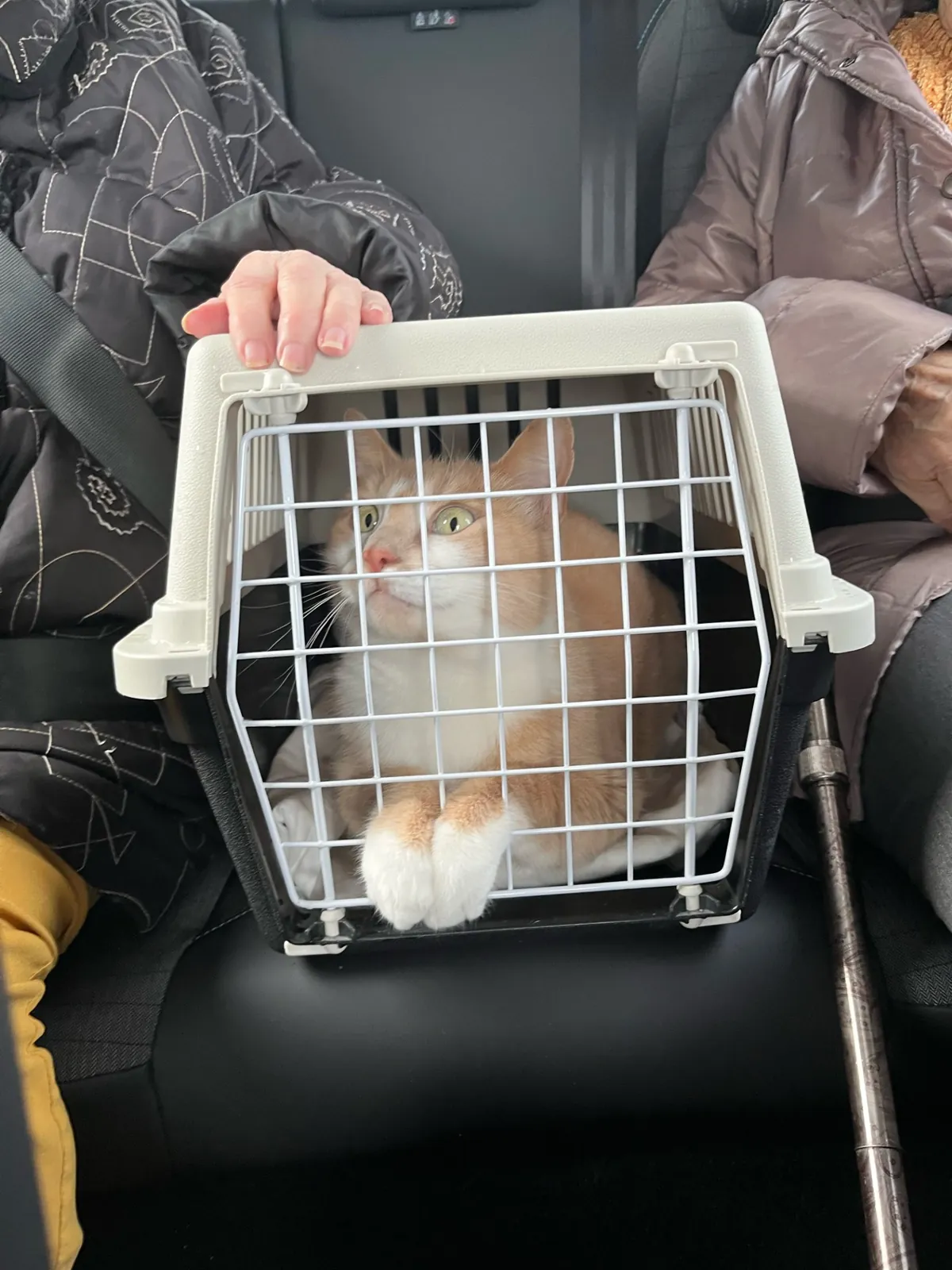 Sophie est arrivée !