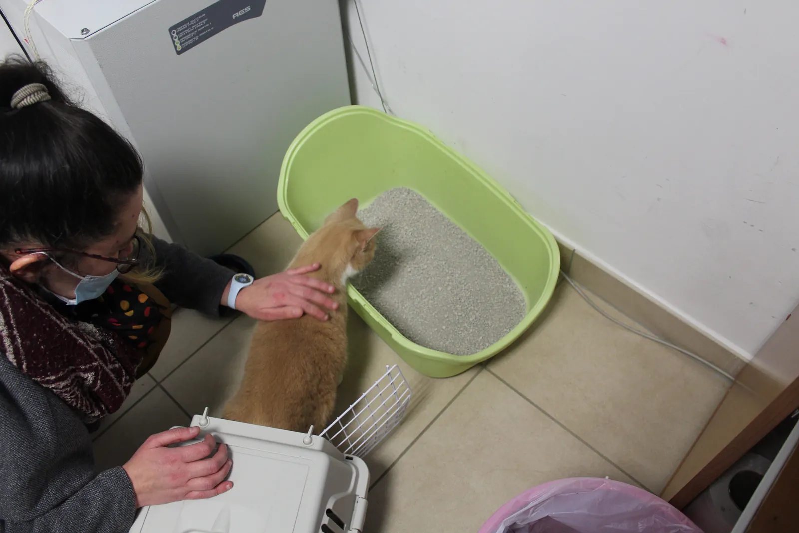 Sophie est arrivée !