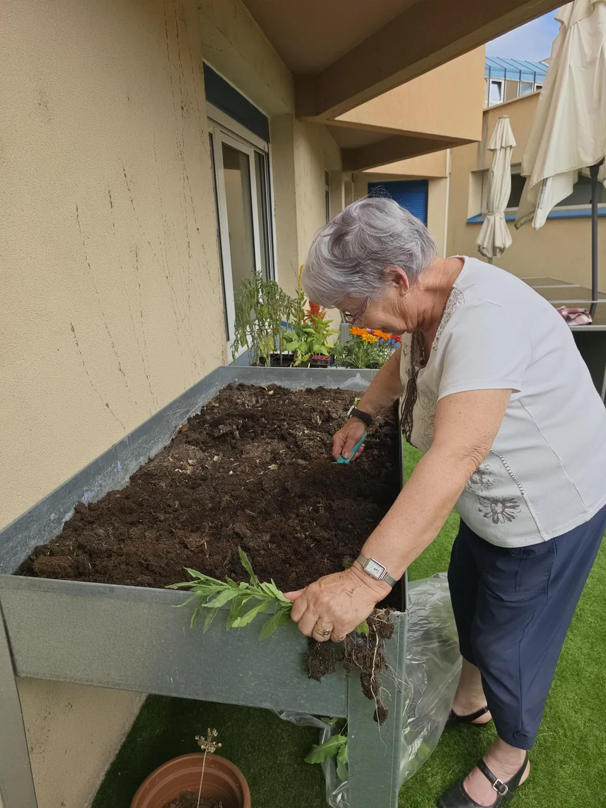 Jardinage à l'accueil de jour