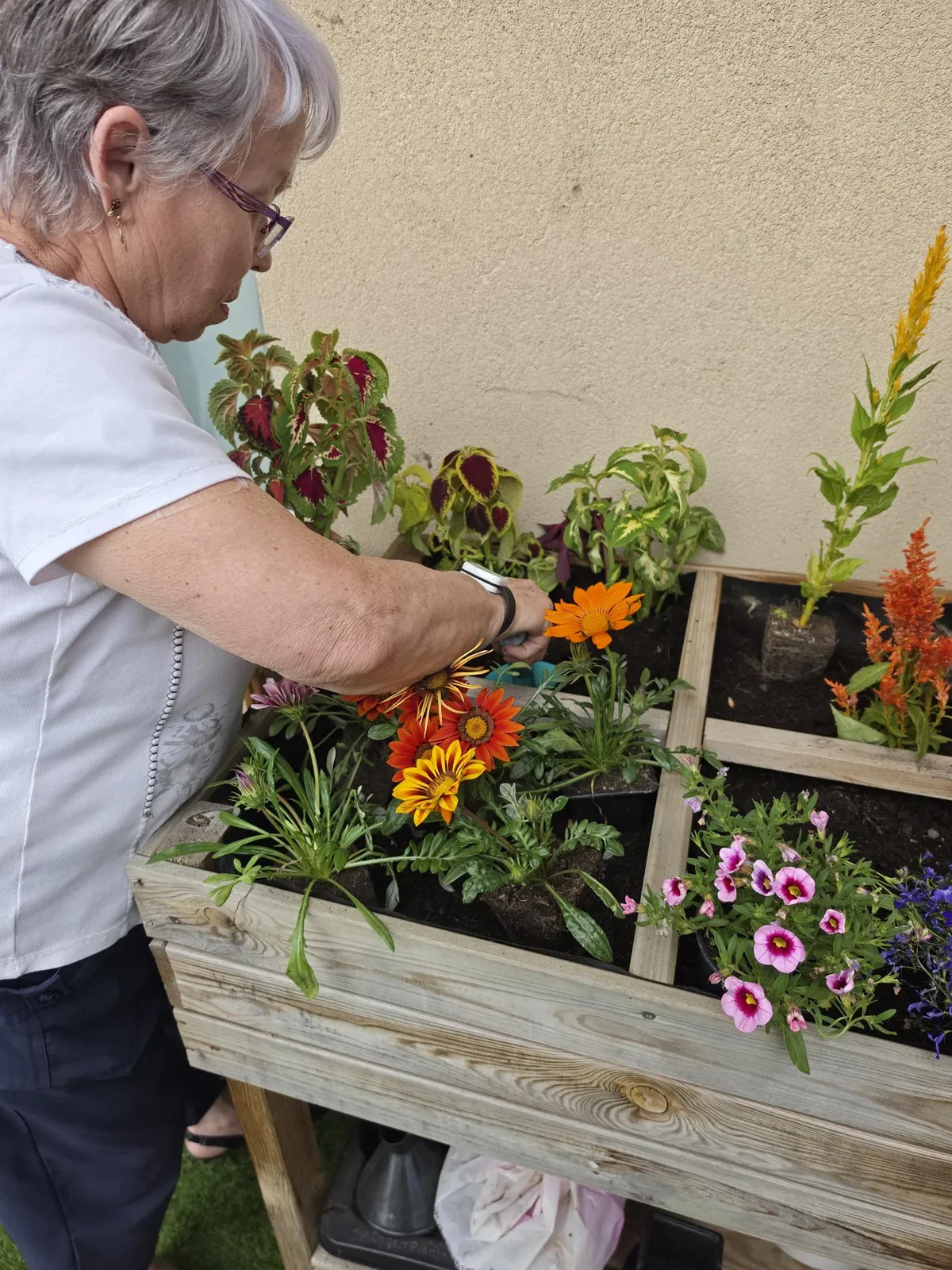 Jardinage à l'accueil de jour