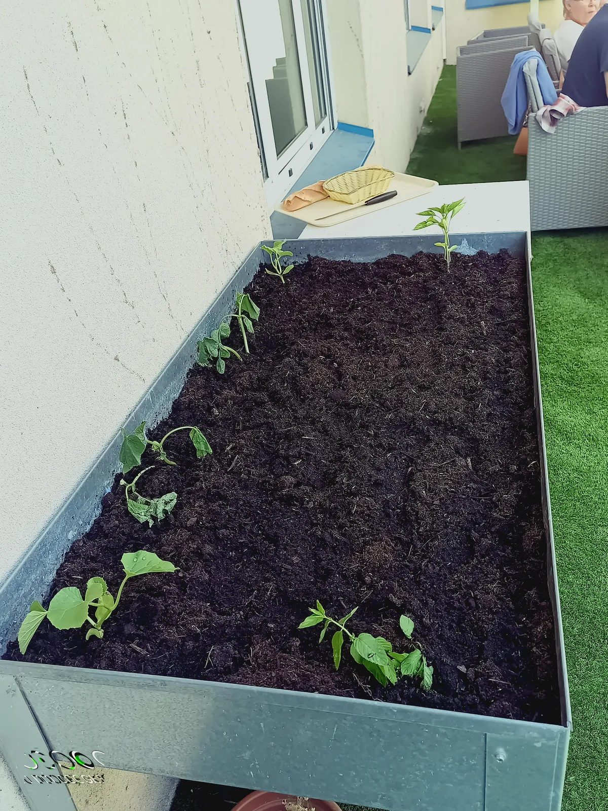 Jardinage à l'accueil de jour