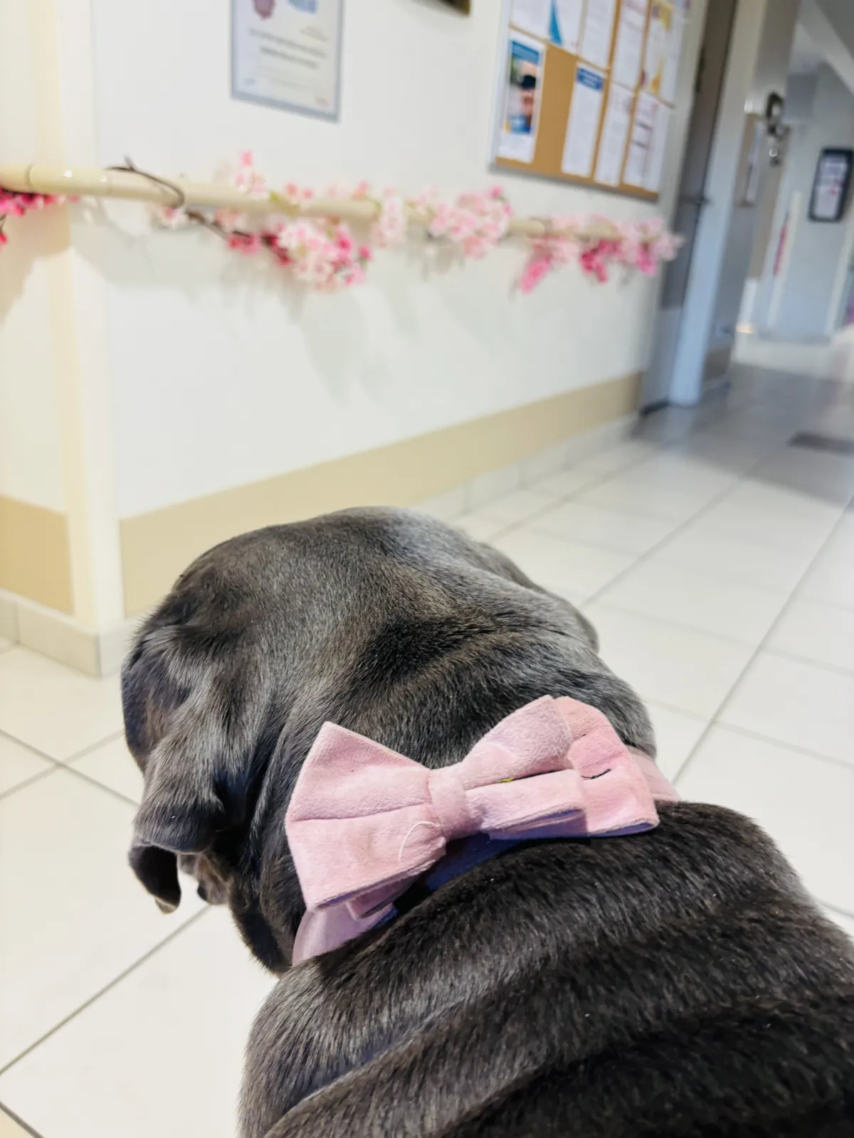 Une invitée de marque à la Résidence Nouvelle Orléans : créons ensemble une robe florale !