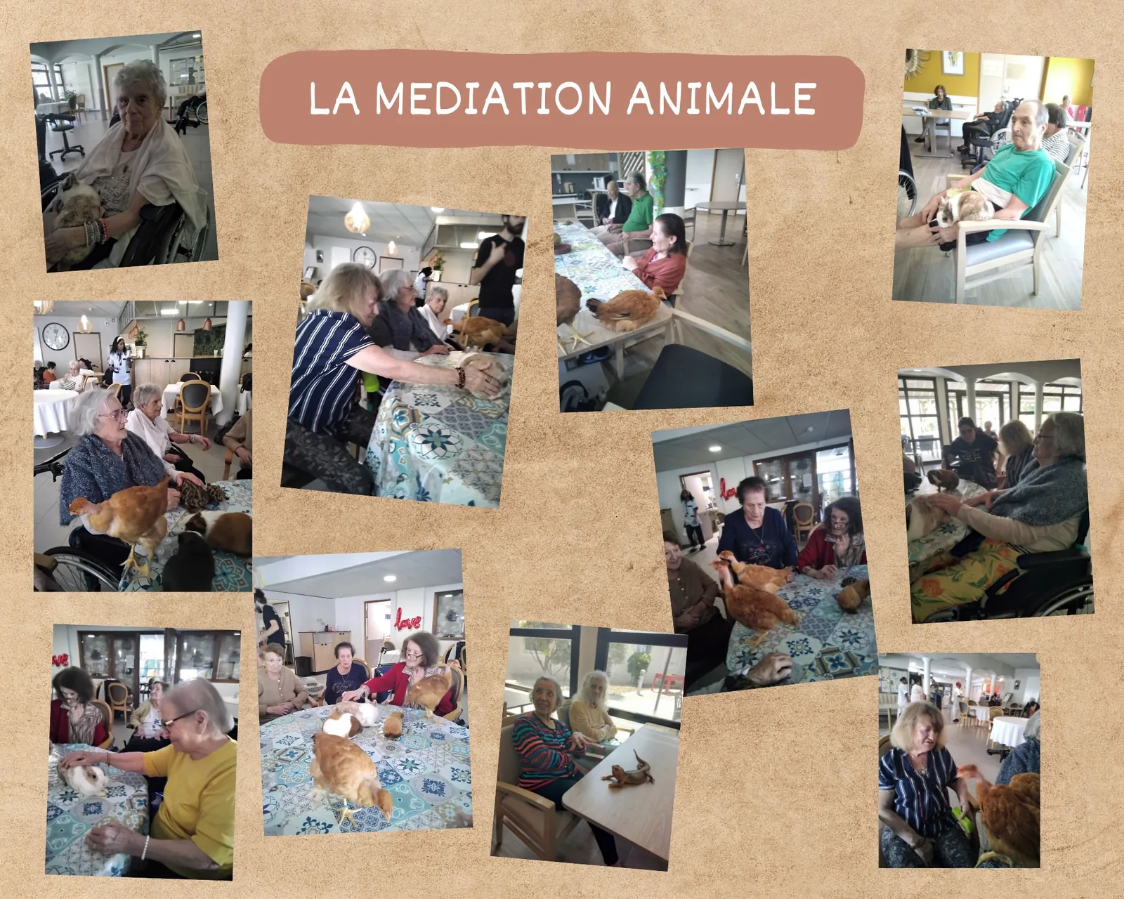 La médiation animale