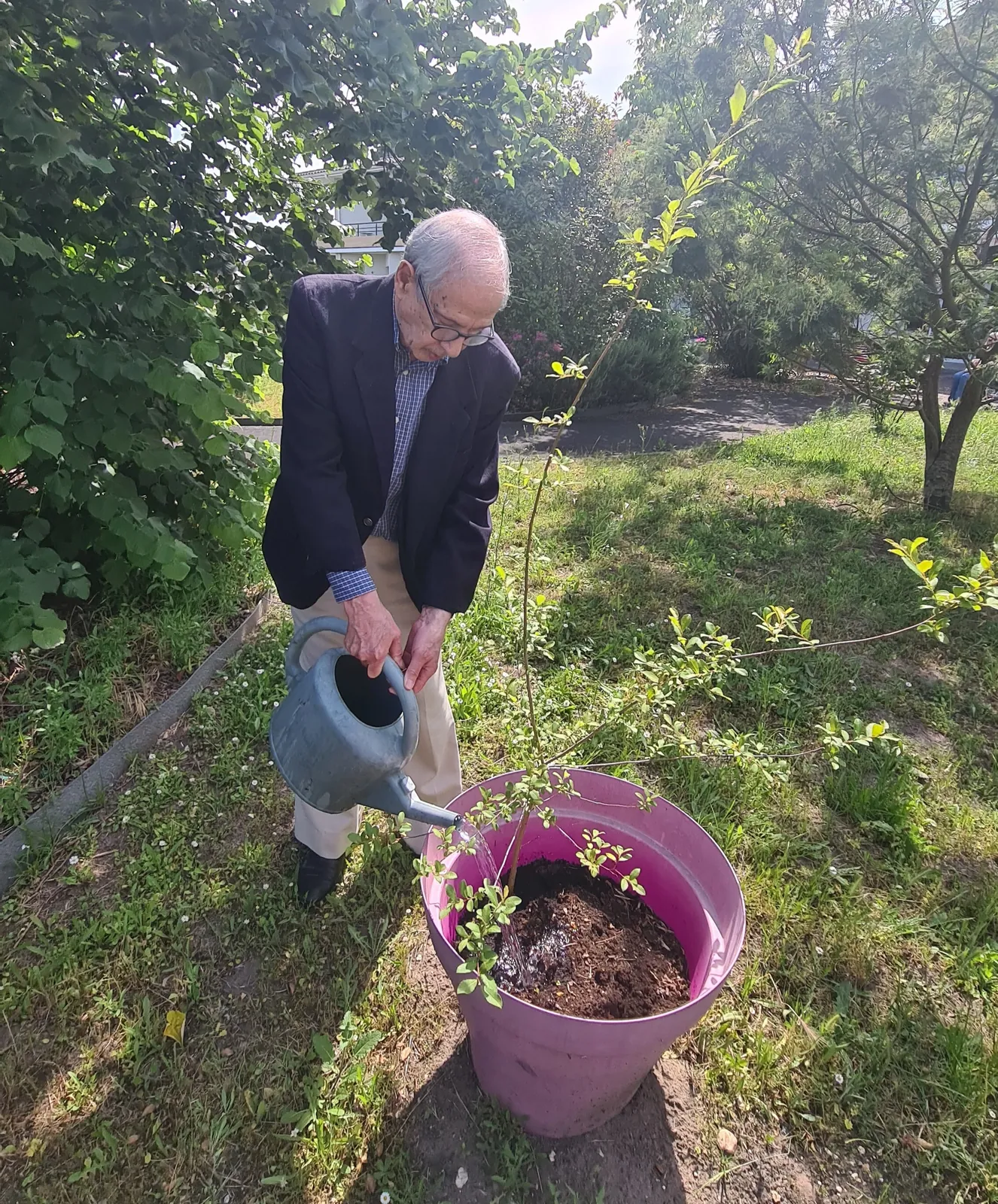 Mon beau jardin ! 