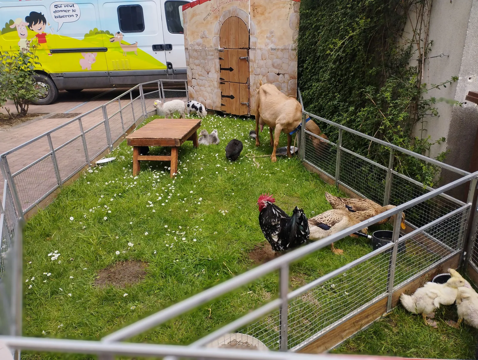 TILIGOLO RETOUR DE LA FERME ITINÈRANTE AUX MARINES