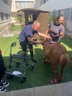 Poney Visiteur au Grand Chai