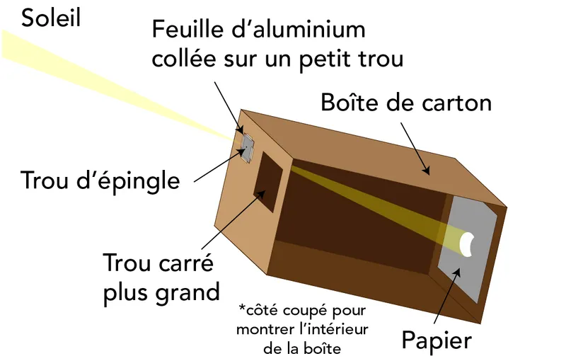 L’Éclipse Lunaire à la Résidence : Sécurité et Émerveillement