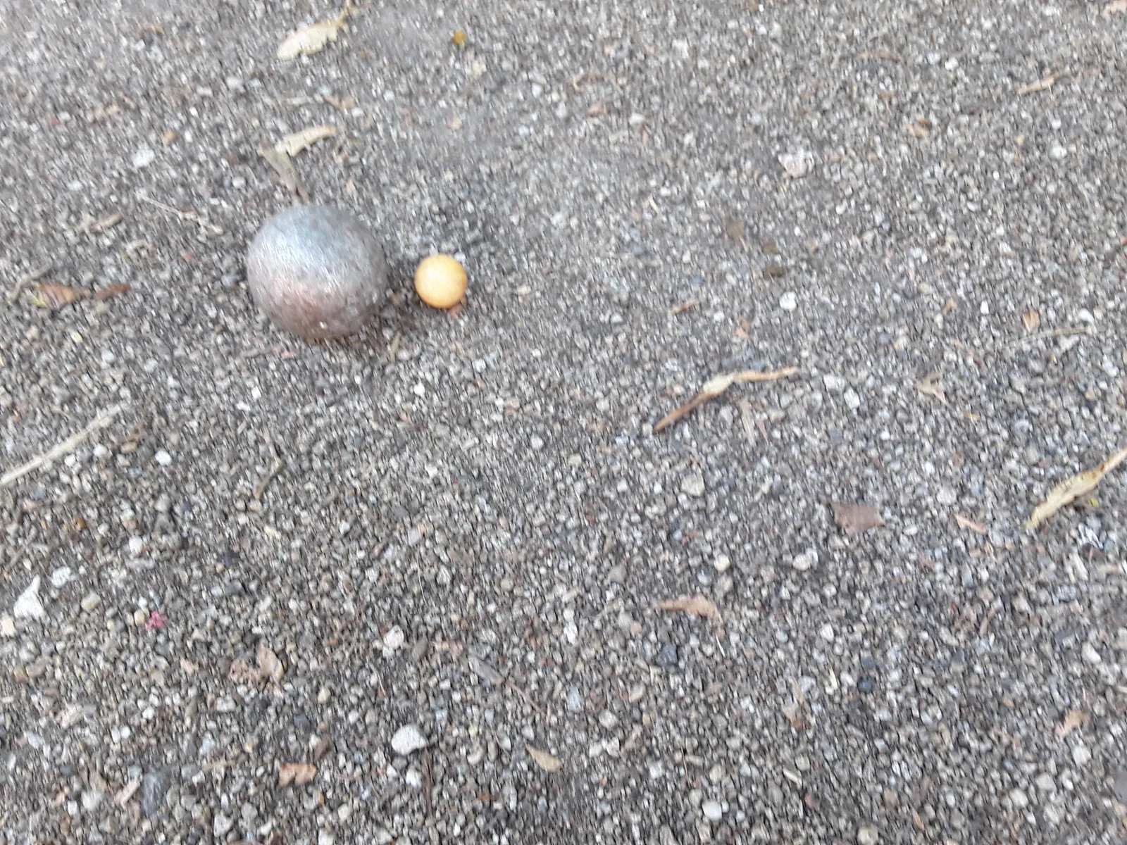 Concours de pétanque 