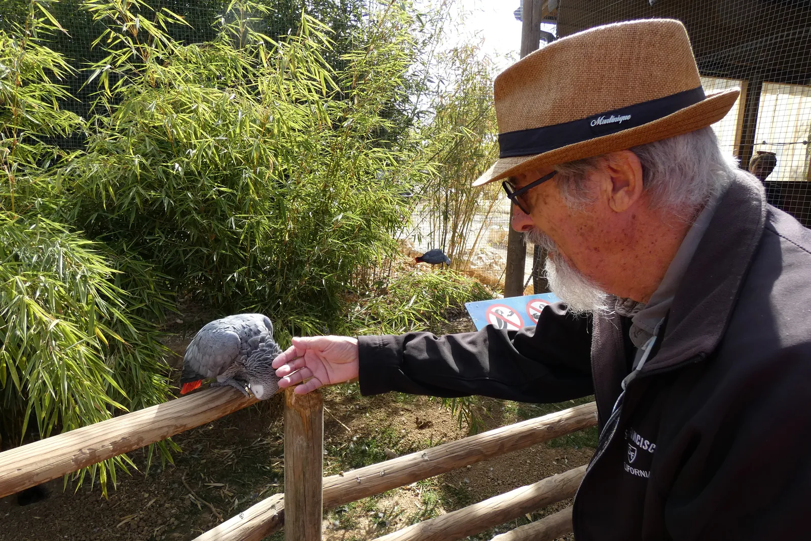 Sortie à Parrot World : émerveillement et convivialité au rendez-vous