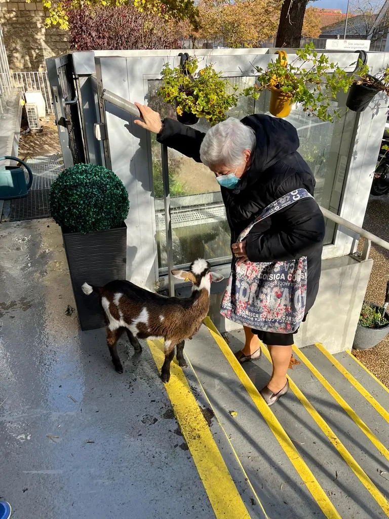 La ferme à la résidence 