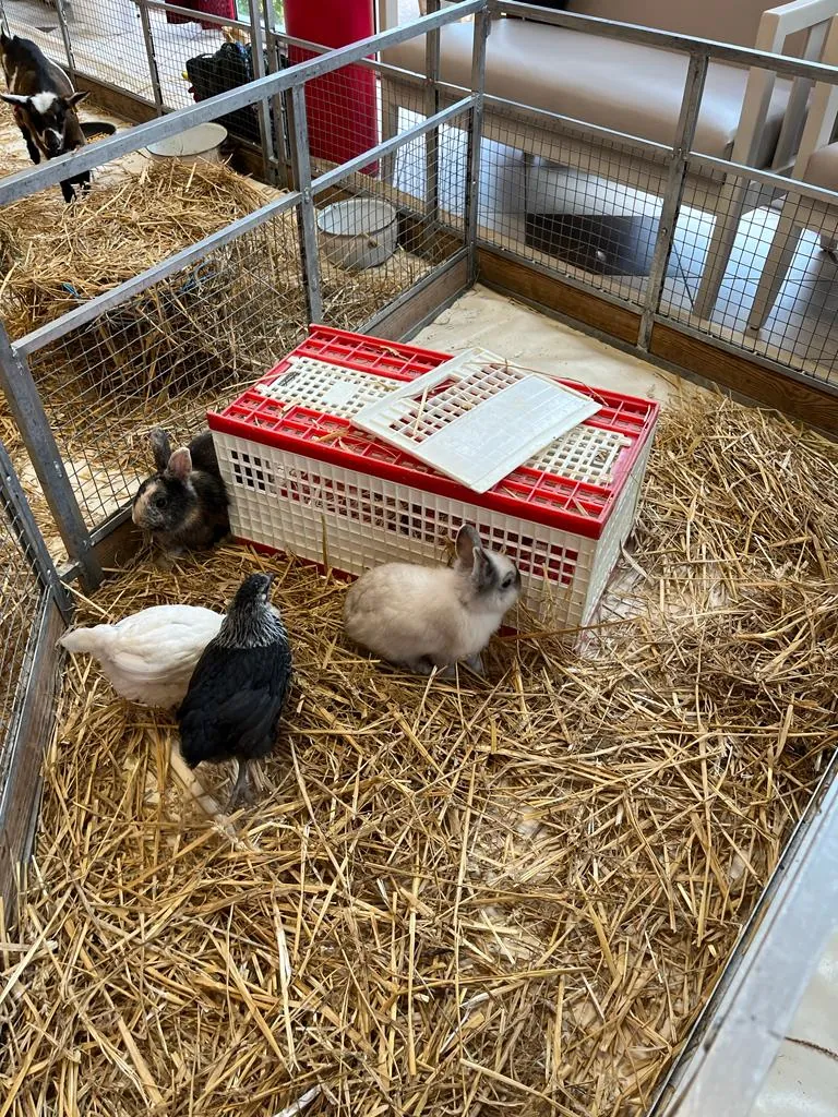 La ferme à la résidence 