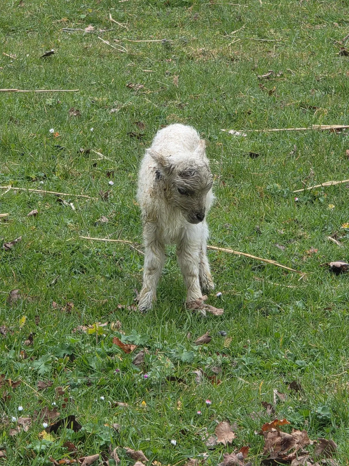 Notre première naissance de l'année