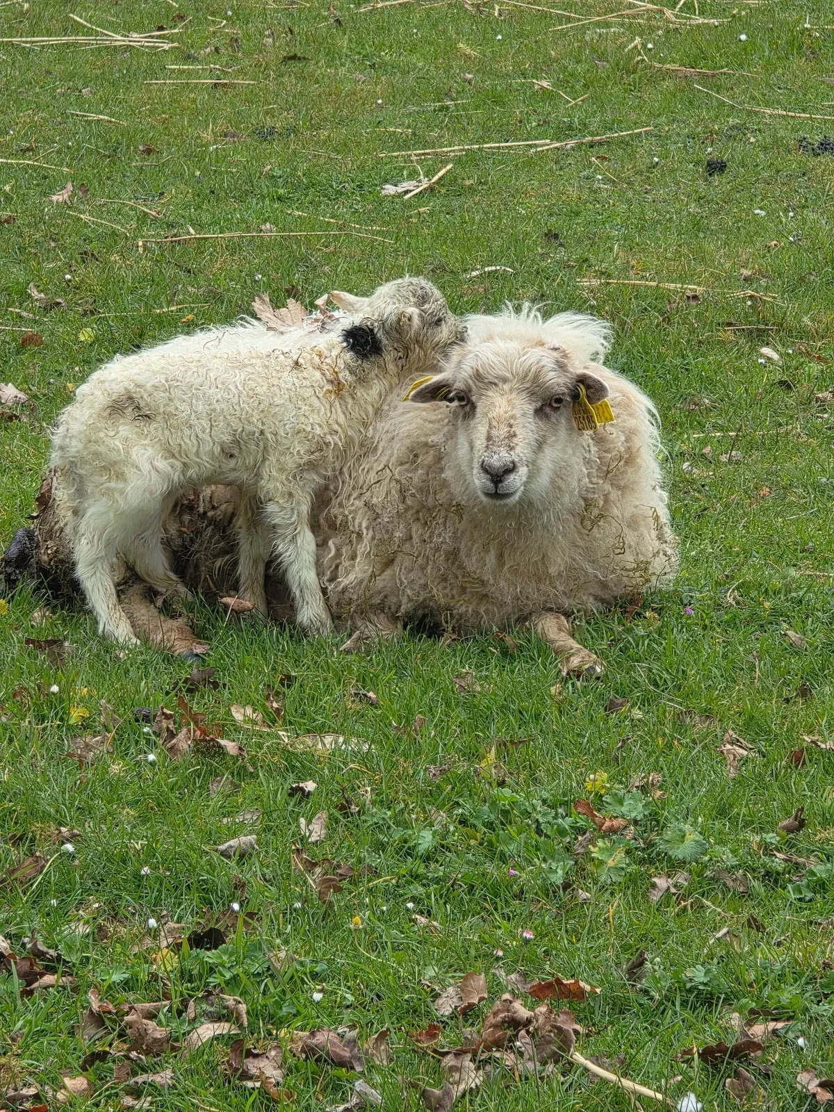 Notre première naissance de l'année
