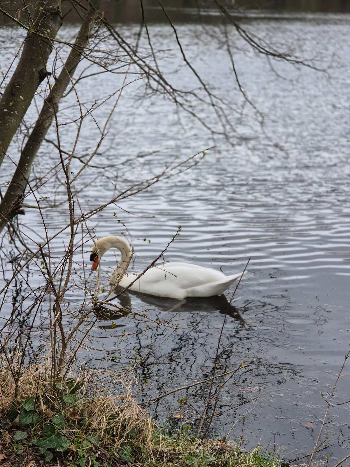 Balade nature et détente aux étangs de Commelles!
