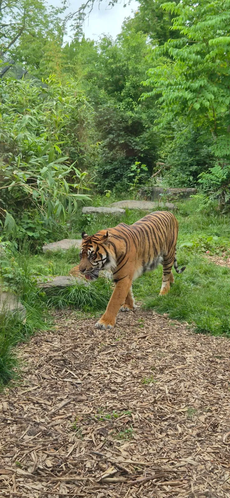 Une sortie au zoo d'Amiens pour nos résidents du PASA