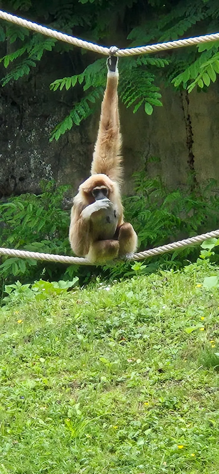 Une sortie au zoo d'Amiens pour nos résidents du PASA