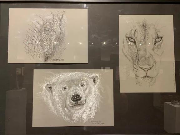Artistes castelvirois à l'honneur !