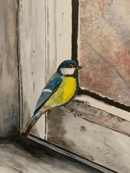 Artistes castelvirois à l'honneur !