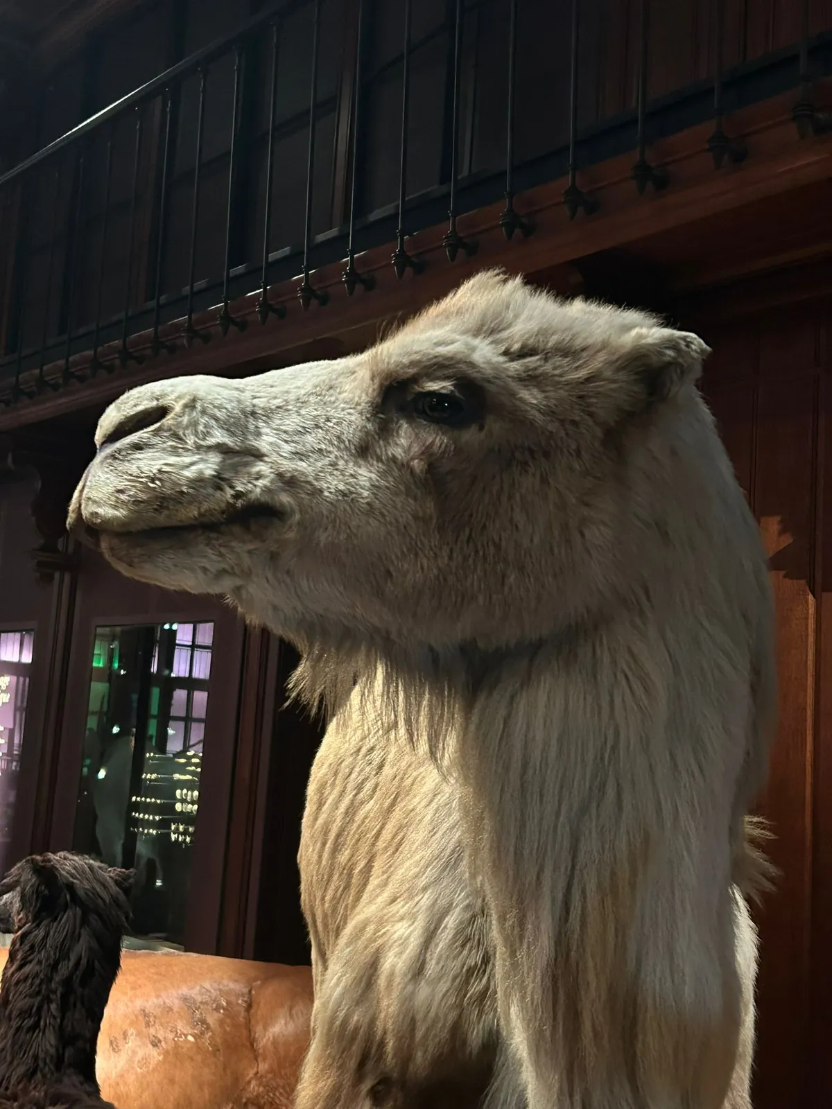 Tiers Temps Paris au Muséum d'Histoire Naturelle