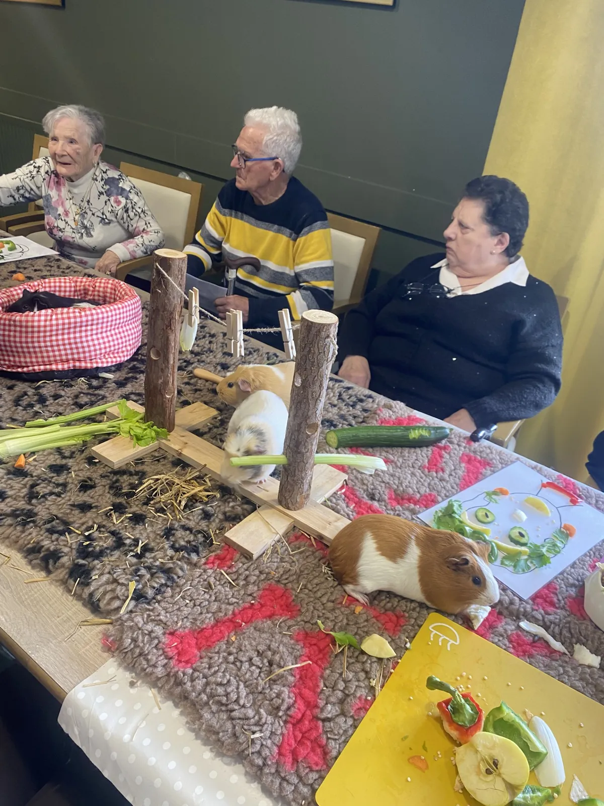 Les cochons d'inde à la Triade 