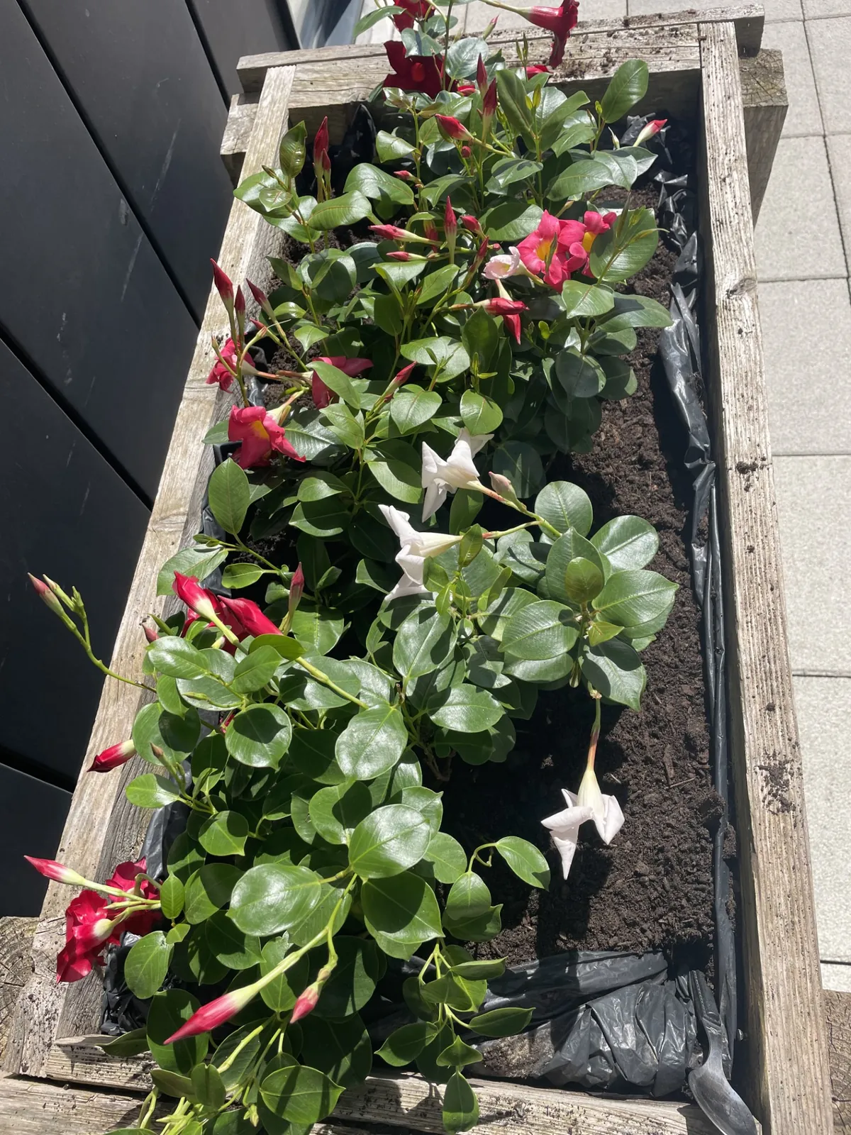 Atelier jardinage 