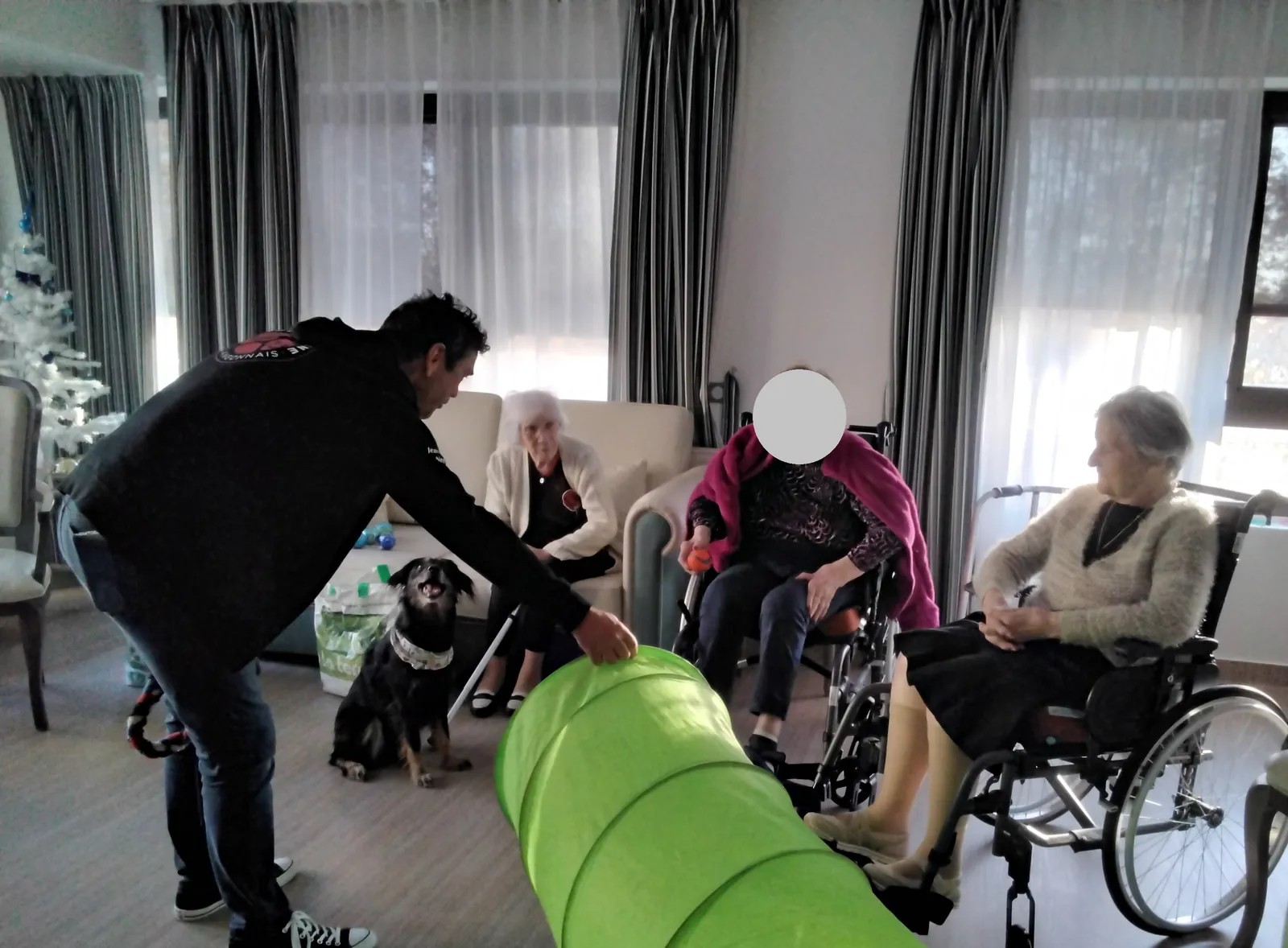 Chiens visiteurs 