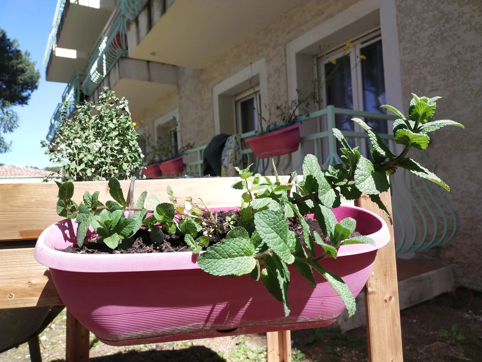 Atelier Jardinage 