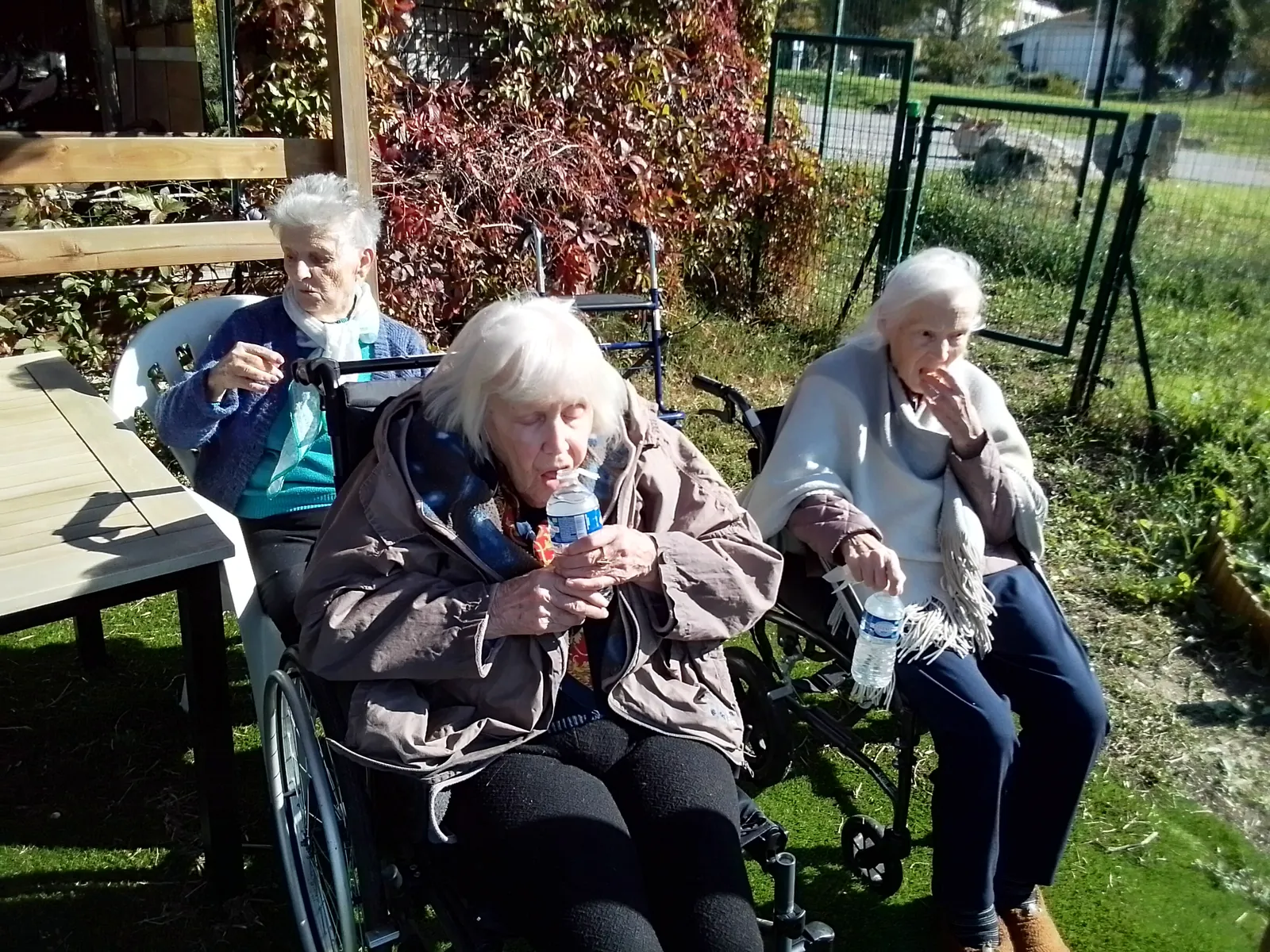 Jardin partagé 