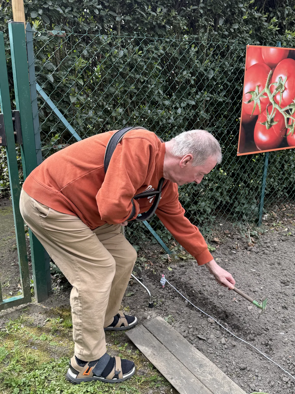 Plantation dans le jardin 