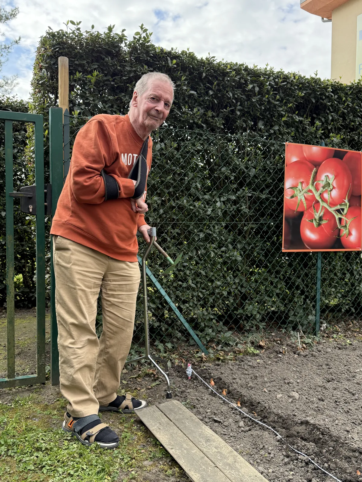 Plantation dans le jardin 