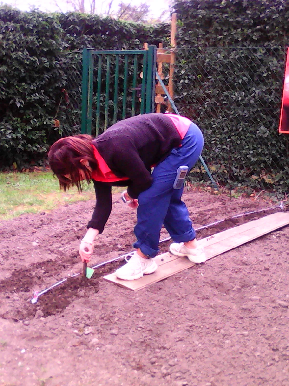 Plantation dans le jardin 