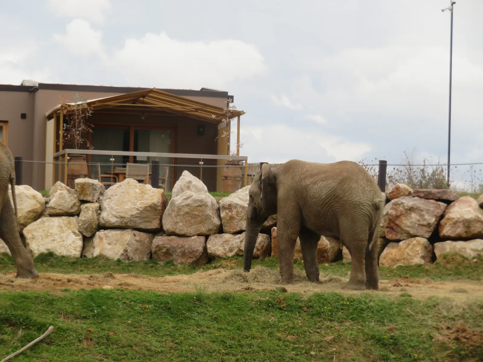 Le Safari du Zoo de Thoiry investi par les Rabelaisiens d'Asnières.